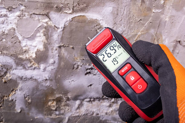 Best Black Mold Removal  in Harvey, ND