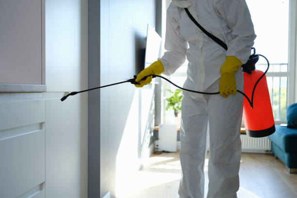 Best Mold Testing  in Harvey, ND