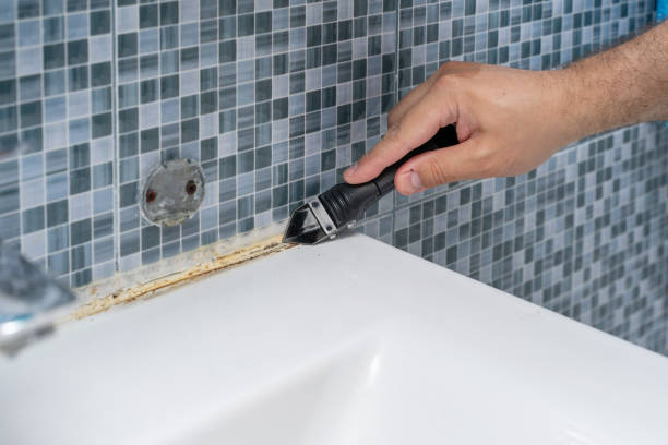 Best Professional Mold Removal  in Harvey, ND